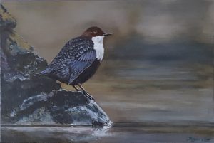Een klein schilderij in olieverf op paneel van de in Nederland zeldzame vogel de waterspreeuw.